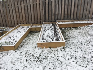 raised beds in snow